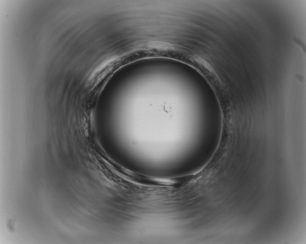 X0000099491112200805151400