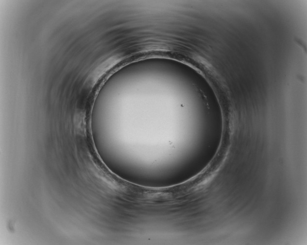 X0000099491113200805151400