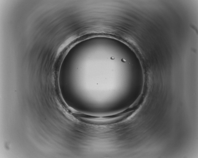X0000099491114200805151400