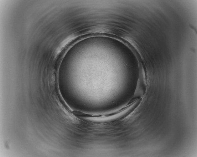 X0000099491115200805151400
