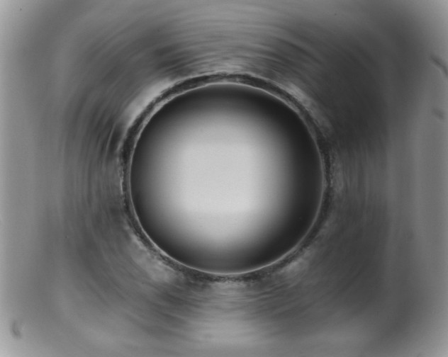 X0000099491118200805151400