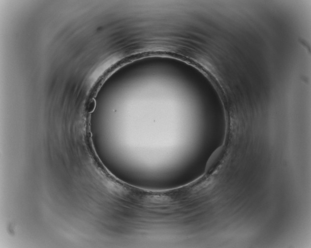 X0000099491119200805151400