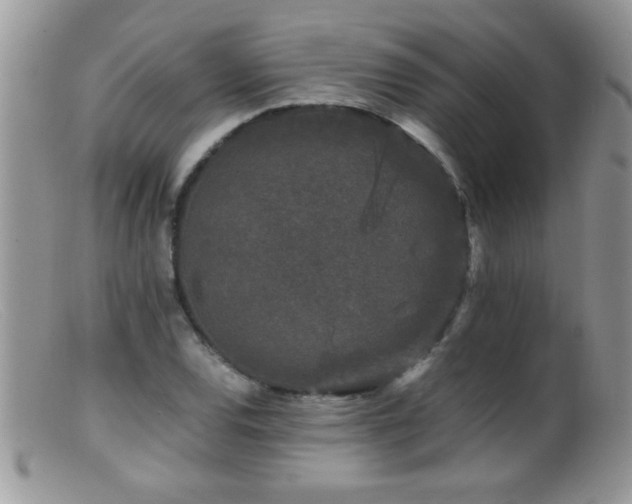 X0000099491120200805151400