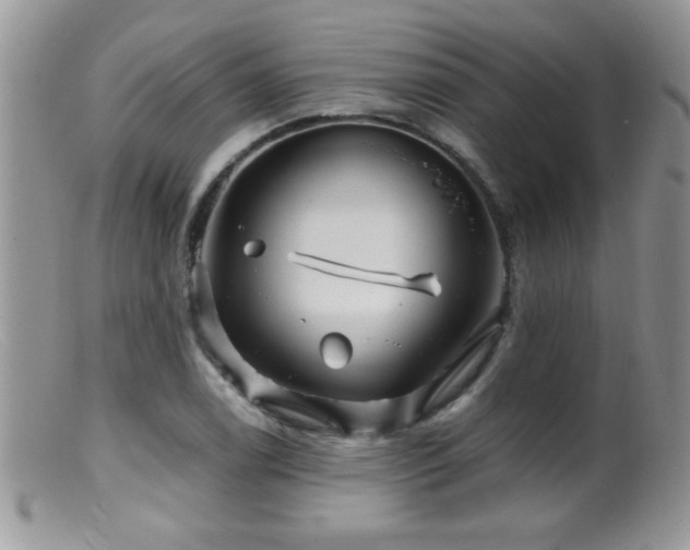 X0000099491122200805151400
