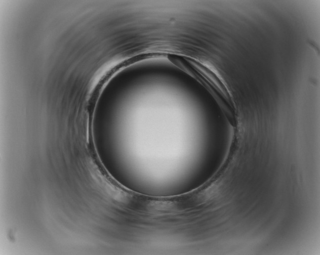 X0000099491123200805151400