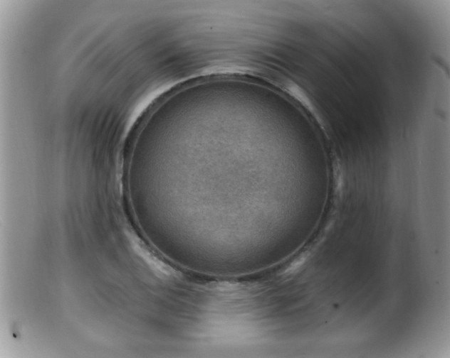 X0000099491124200805151400