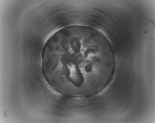 X0000099491125200805151400