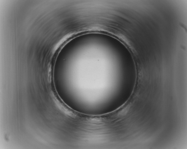 X0000099491126200805151400