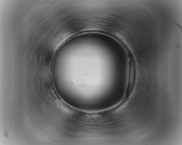 X0000099491129200805151400