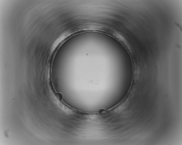 X0000099491130200805151400