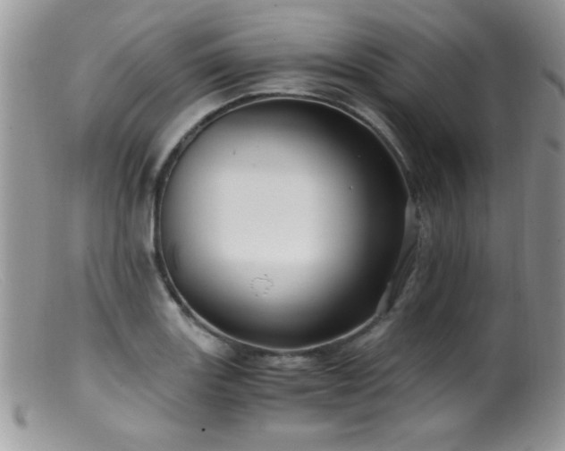 X0000099491131200805151400