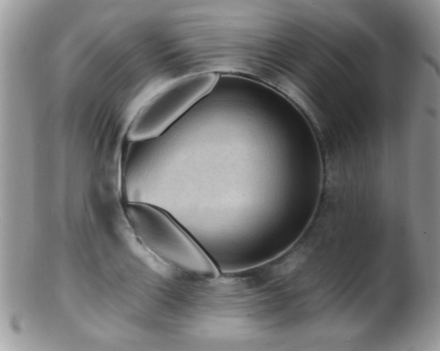 X0000099491132200805151400