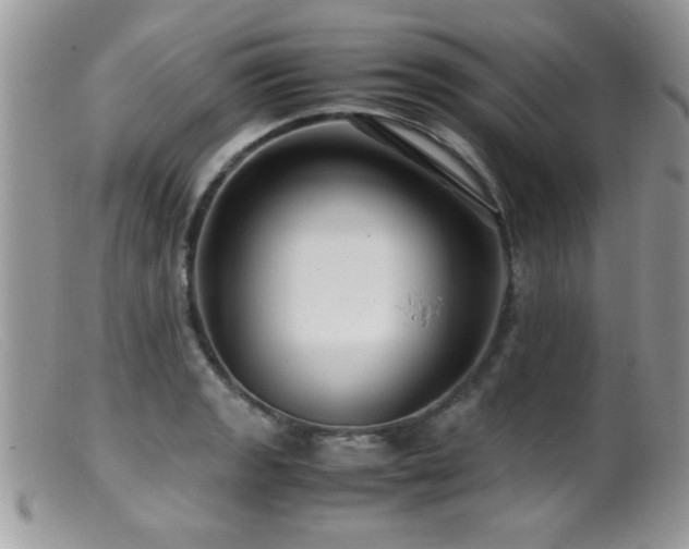 X0000099491133200805151400