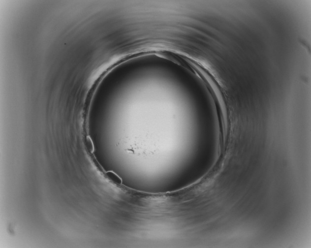 X0000099491134200805151400