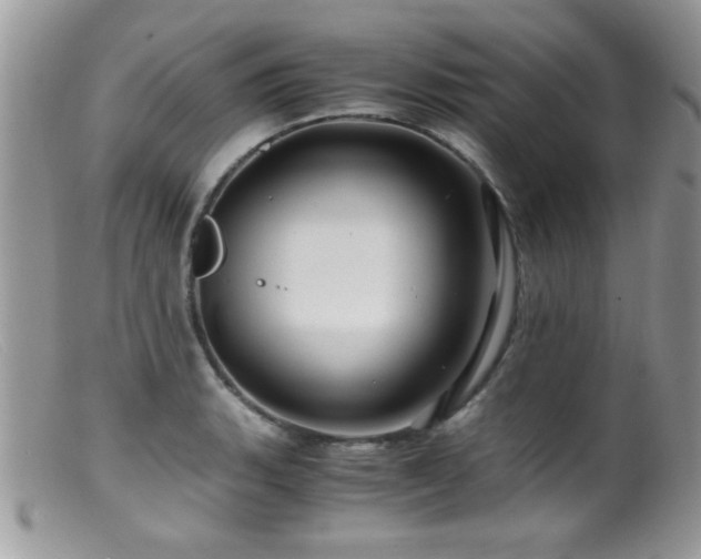 X0000099491135200805151400