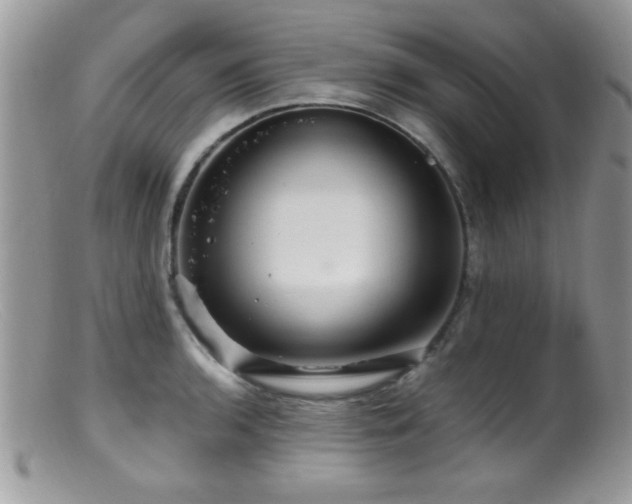 X0000099491136200805151400