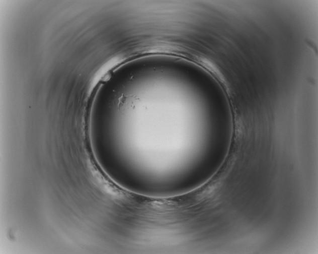 X0000099491138200805151400
