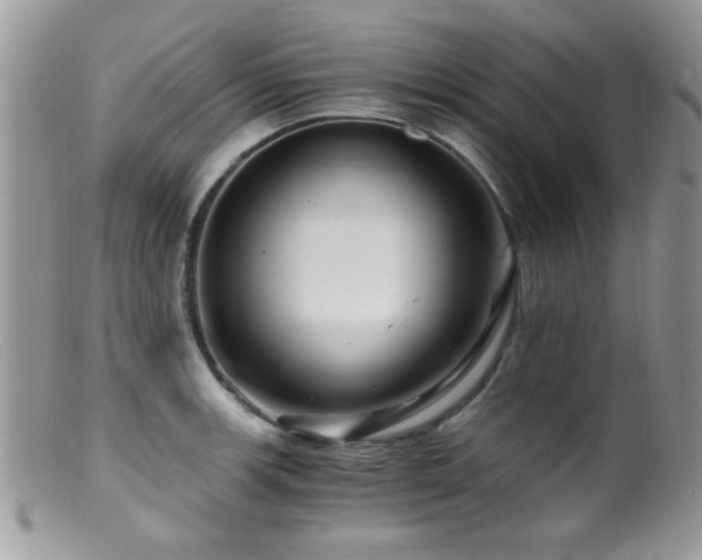 X0000099491139200805151400