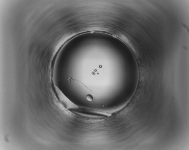X0000099491140200805151400