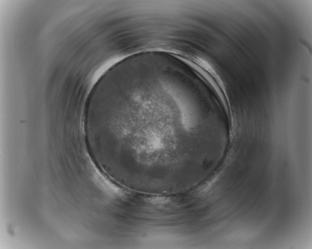 X0000099491141200805151400