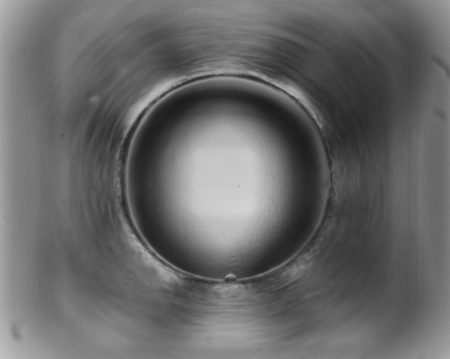 X0000099491142200805151400