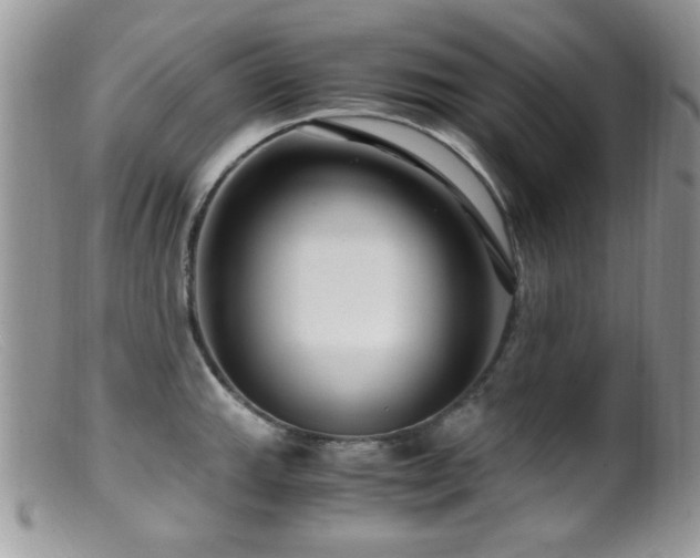 X0000099491143200805151400