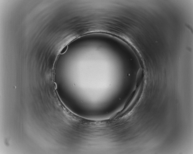 X0000099491145200805151400