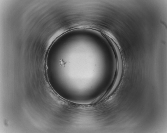 X0000099491146200805151400