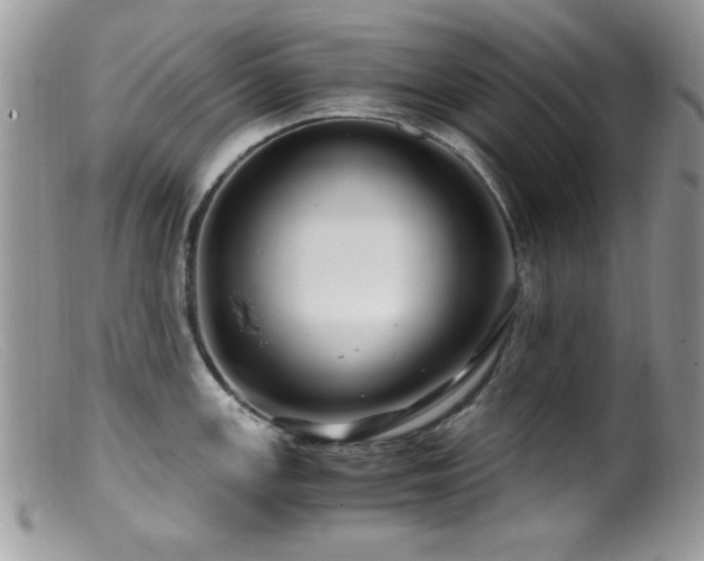 X0000099491147200805151401