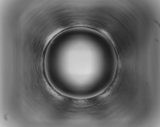 X0000099491149200805151401