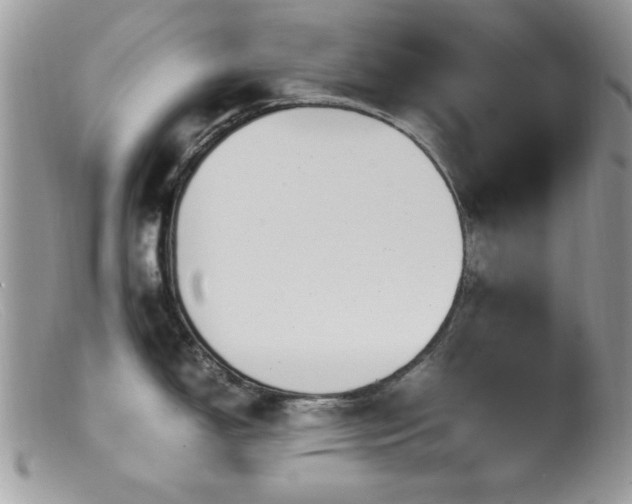 X0000099491150200805151401