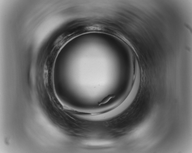 X0000099491151200805151401