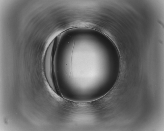 X0000099491152200805151401