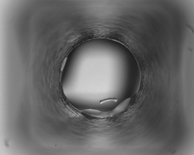 X0000099491153200805151400