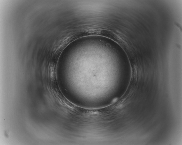 X0000099491154200805151400