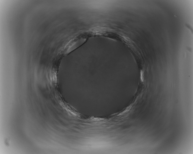 X0000099491155200805151400