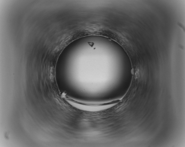 X0000099491156200805151400