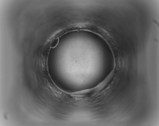 X0000099491158200805151400