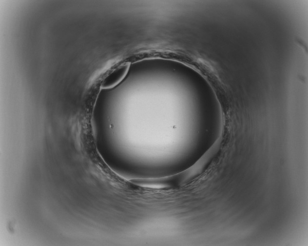 X0000099491159200805151400