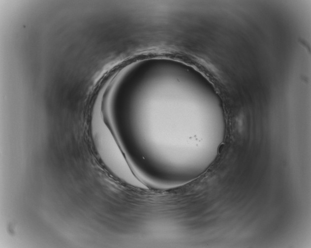 X0000099491160200805151400