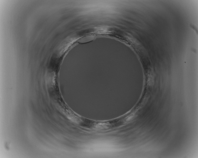 X0000099491161200805151400