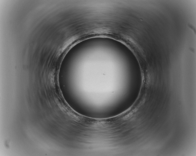 X0000099491162200805151400