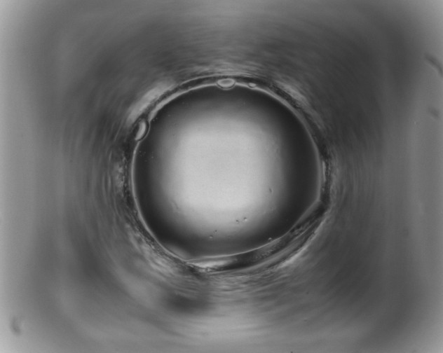 X0000099491163200805151400