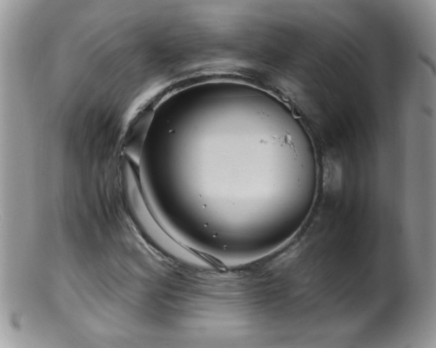 X0000099491164200805151400