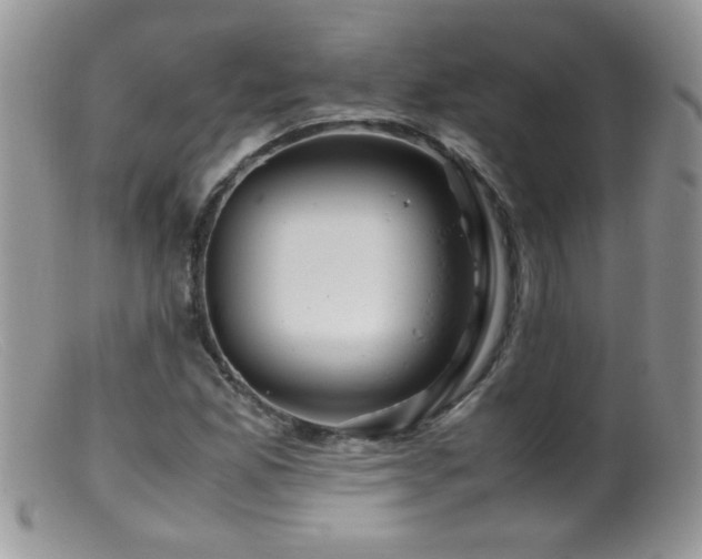 X0000099491165200805151359