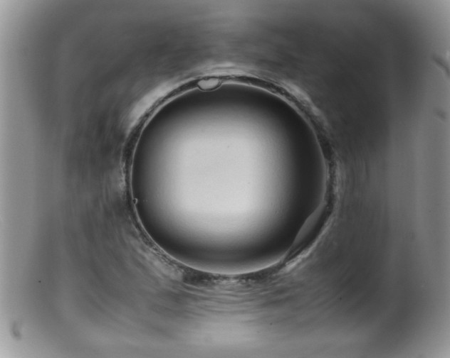 X0000099491167200805151359