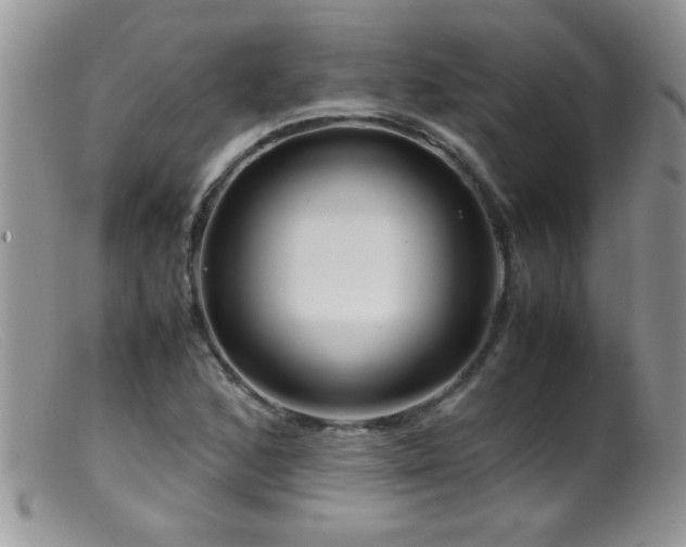 X0000099491168200805151359
