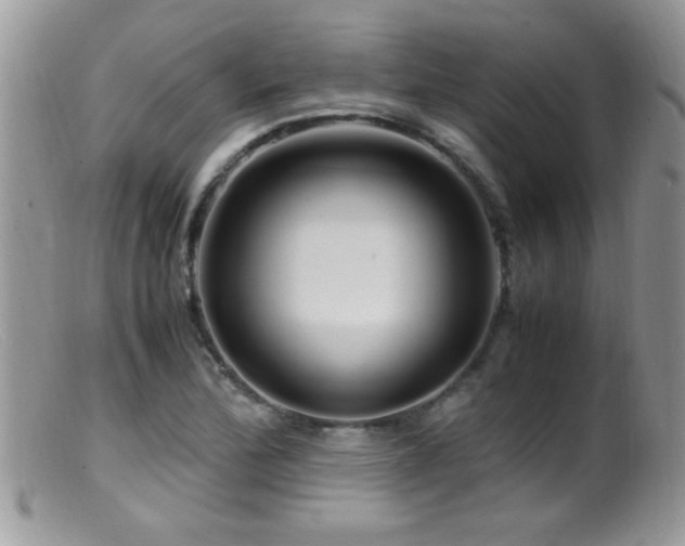 X0000099491172200805151359