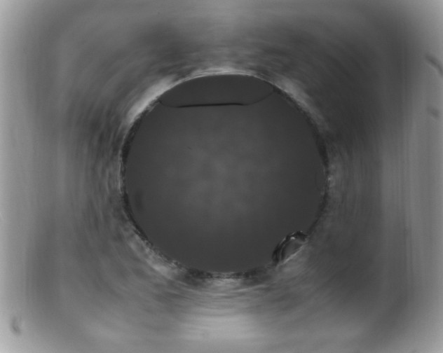 X0000099491173200805151359