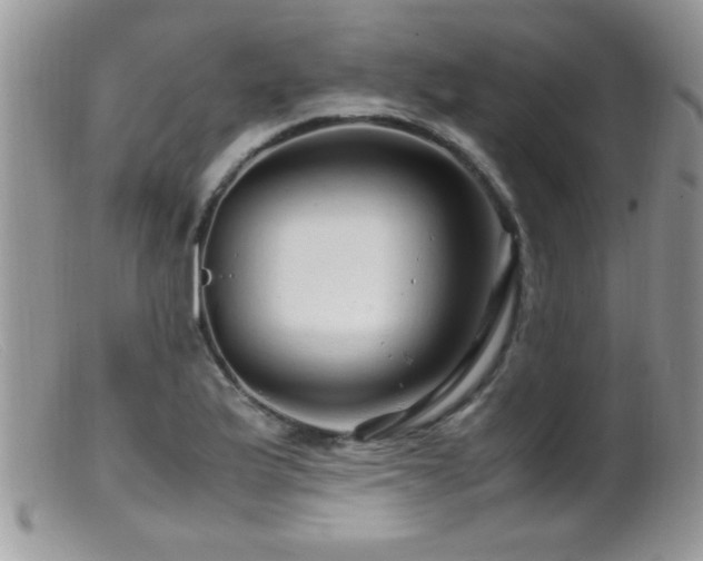 X0000099491175200805151359